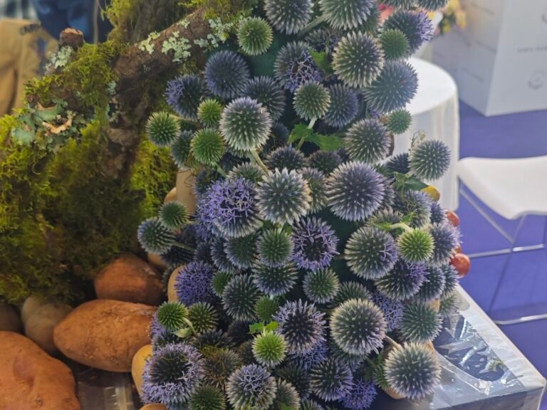 汇全球精品，话产业未来：第23届昆明国际花卉展暨2025云南国际咖啡展