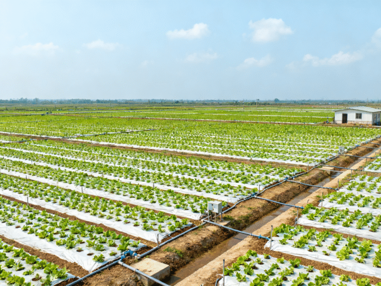 未来已来！压力补偿滴头+物联网，开启智能灌溉新篇章